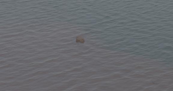 湖中间凸起的石头，空镜头