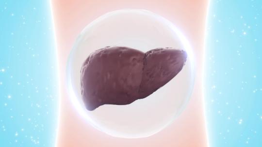 养肝护肝保护肝脏视频素材模板下载