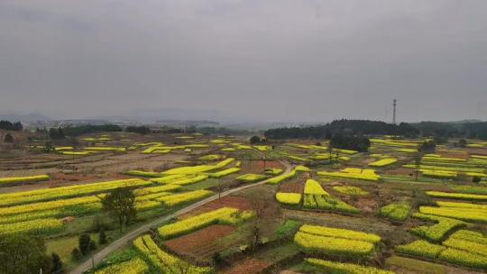 自然风景，风景如画心旷神怡，治愈系风景