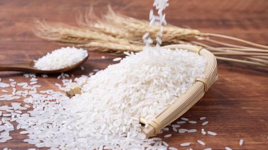 唯美大米稻米洒落升格素材