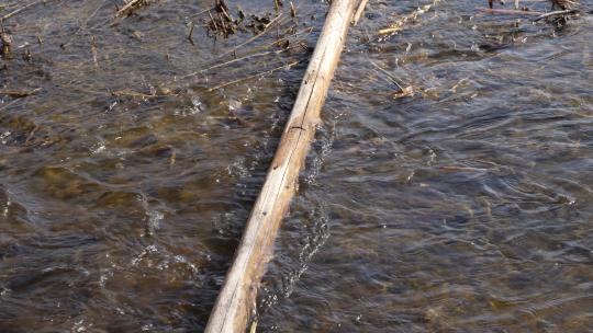 木头横在小溪水面上河水流动