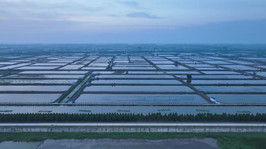 航拍武汉荆州小龙虾养殖基地