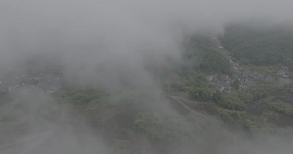 大自然森林茶园村庄云雾大山云海