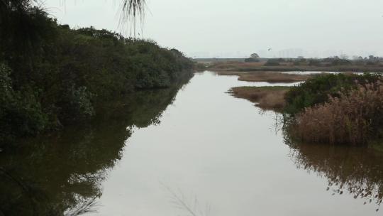 l1湿地风景