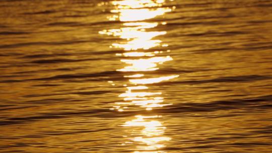 夕阳下的金色水面