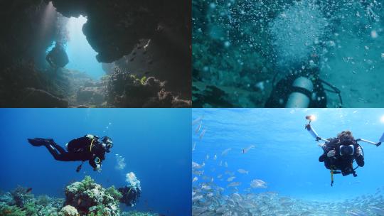 【合集】深海潜水探险海底世界高清