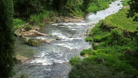 自然户外宁静溪流小河水流潺潺流水