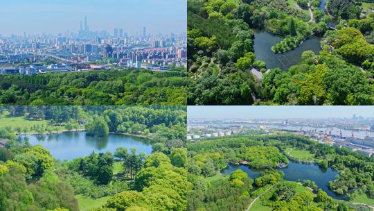航拍上海城市公园共青森林公园高清在线视频素材下载
