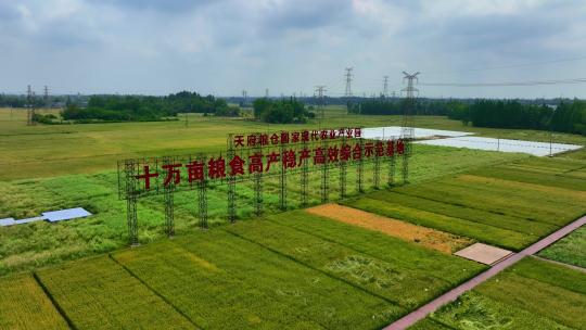 四川 乡村振兴 经济 农村