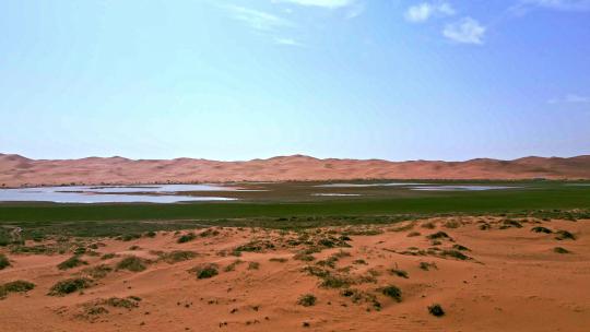 沙漠绿洲沙漠湖泊湿地生态视频素材模板下载