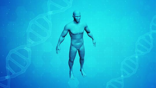 科学风格的旋转 3D 人体和 3D DNA 背景