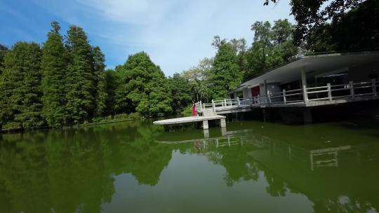 广州华南植物园fpv穿越机航拍剪辑版4K50帧