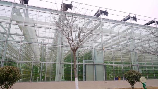 蔬菜大棚-温室大棚-科技农业