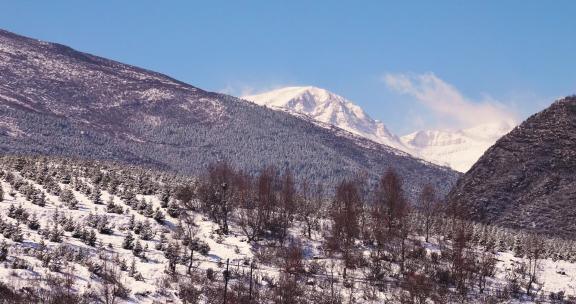 林场雪山云雾景象