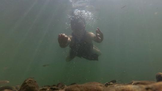 水下拍摄人从上面游过鱼在下面跟2.7K