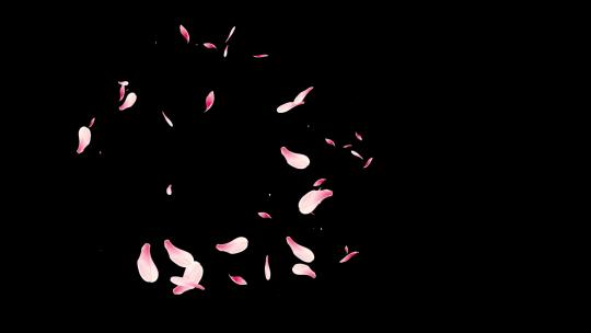 樱花桃花花瓣绽开绽放透明通道视频素材模板下载