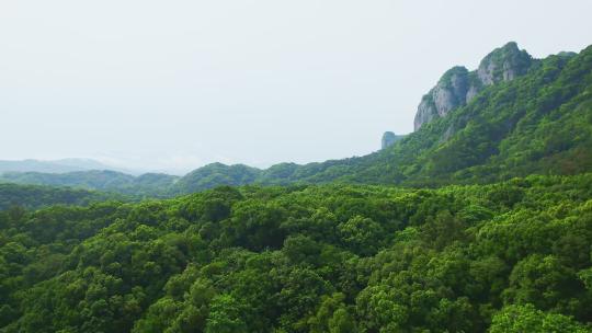 航拍绿色森林山林