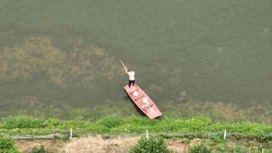 航拍武汉荆州小龙虾养殖基地