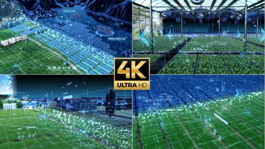 AE 数字化农业 温室大棚 农场高清AE视频素材下载