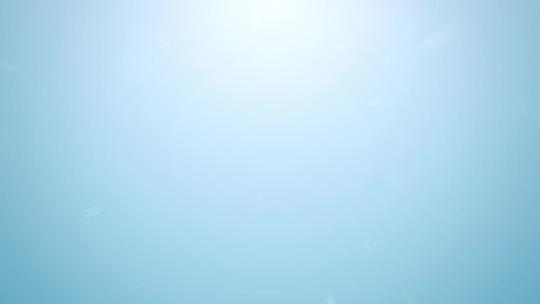 文件证书 荣誉专利