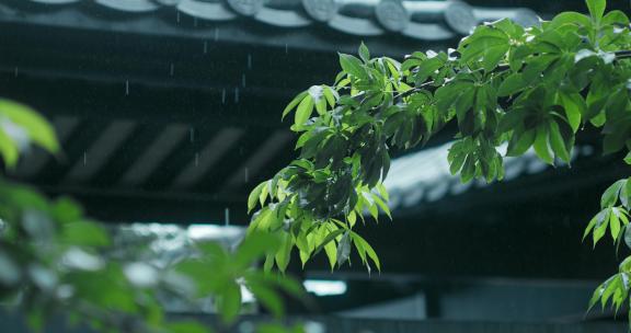 4k中式园林 下雨天空镜古建筑下雨屋檐滴水