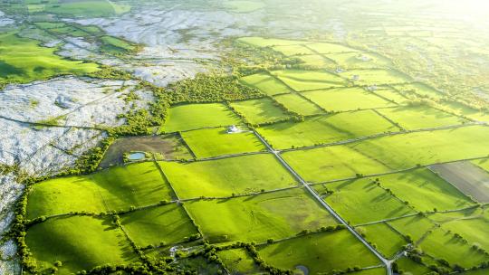 航拍乡村田野风景