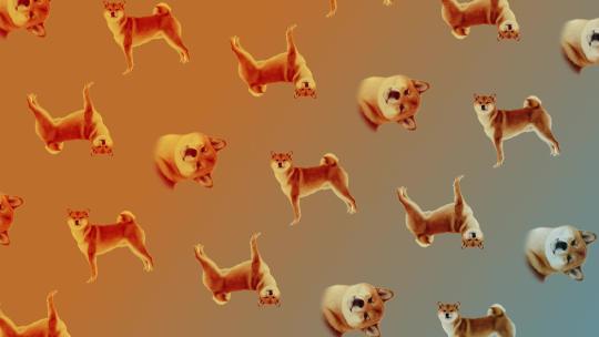 4k小狗图形背景循环动画视频素材