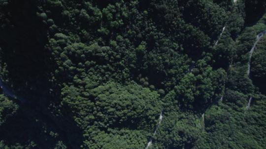 大自然哀牢山大景航拍空镜头视频素材模板下载