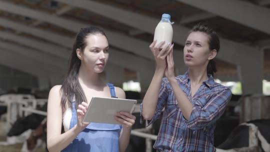年轻的女孩农民带着农场里的奶牛参观谷仓接受了牛奶测试视频素材模板下载