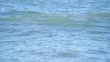 波光粼粼的海浪浪涌特写高清在线视频素材下载