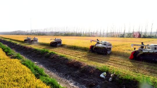 航拍收割机收割水稻