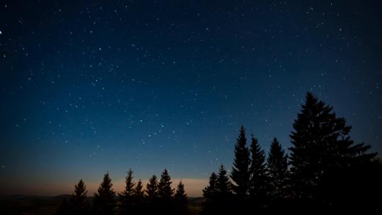 68_森林里安静的夜晚繁星点点的天空