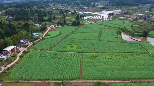 4K中国农业发展银行乡村振兴图案绿色金融