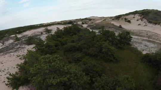 FPV特写镜头拍摄了绿色树叶和柔软白色沙丘的沙漠小径