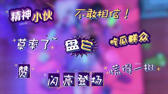 23组真人秀综艺字幕花字