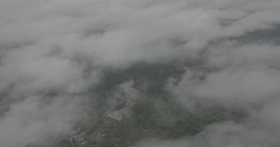 大自然森林茶园村庄云雾大山云海