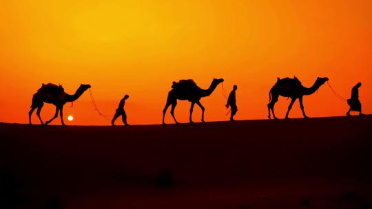 日落时分牵着骆驼走在沙漠中