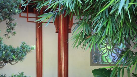 意境竹林竹影，中式古典园林