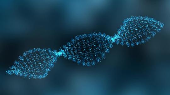 旋转 DNA 结构的动画