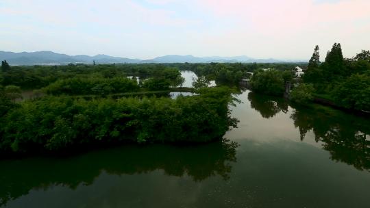 l1杭州西溪生态景观1视频素材模板下载