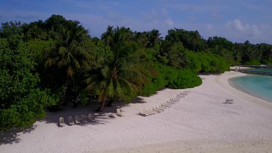沙滩棕榈美景