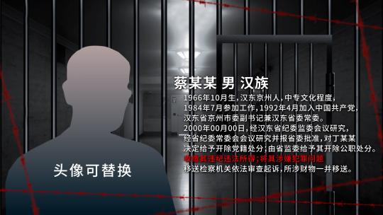 纪委反腐嫌疑人介绍出场高清AE视频素材下载