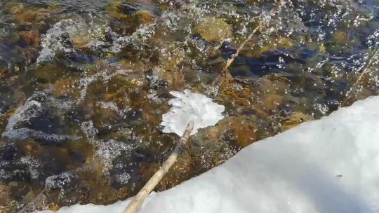 春天小溪冰雪融化开河流水合集视频素材模板下载