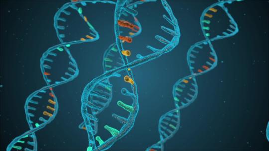 人类细胞  生物细胞 DNA  螺旋视频素材模板下载