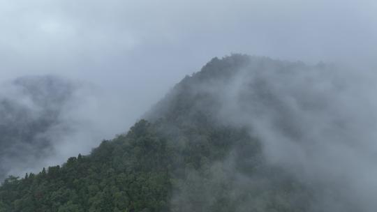 烟雨云雾缥缈的大山