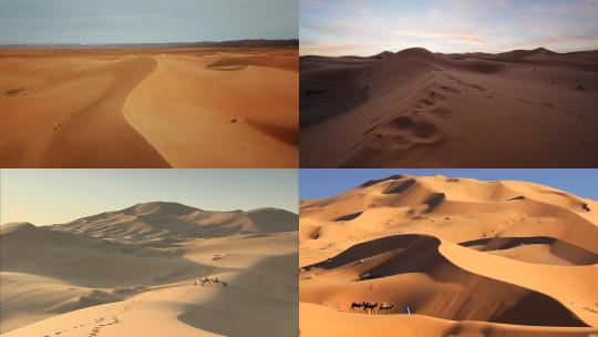 【合集】 沙漠 非洲视频素材模板下载