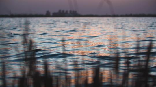 金色水面湖面夕阳水边水面波浪波光