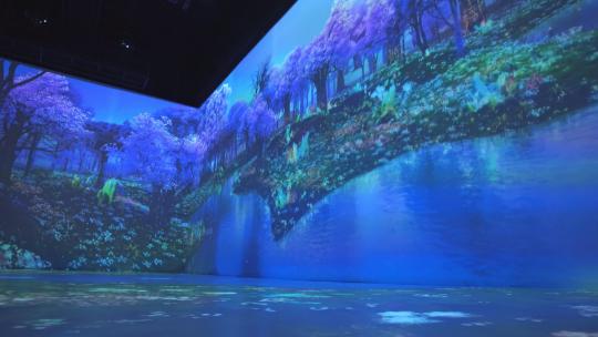 沉浸式展厅实景拍摄视频素材模板下载