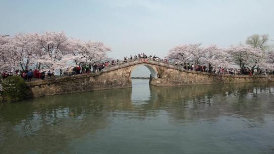 航拍江苏无锡太湖鼋头渚长春桥风光