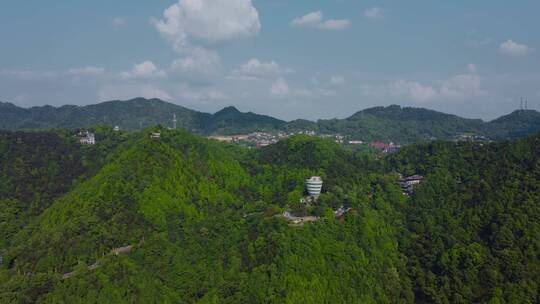 航怕重庆南山森林绿化